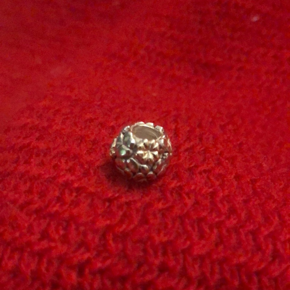 Pandora Sterling Silver with 14K Gold Accents
